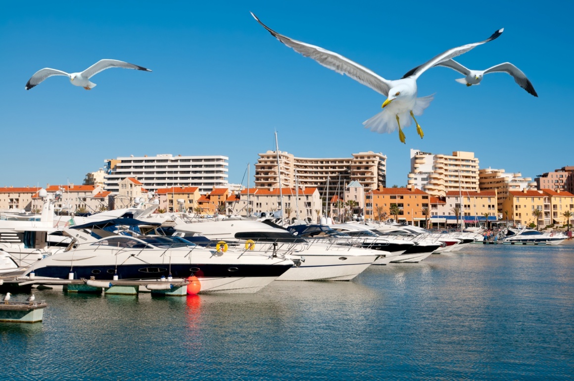 'Motor boats in Vilamoura resort, Portugal' - Algarve